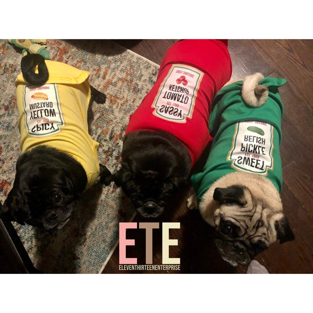 Condiment Halloween Costumes For Small and Big Dogs Cats SM to 6XL - Picture 6 of 8